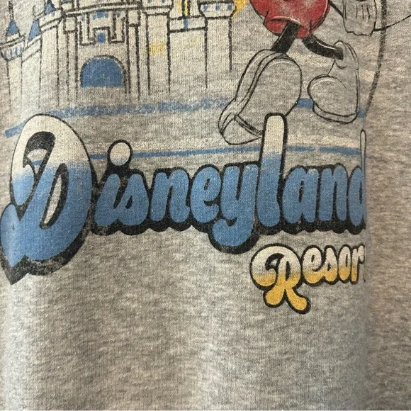 ⭐️Disney Parks Disneyland resort vintage look crop hooded sweatshirt size medium - Picture 13 of 16
